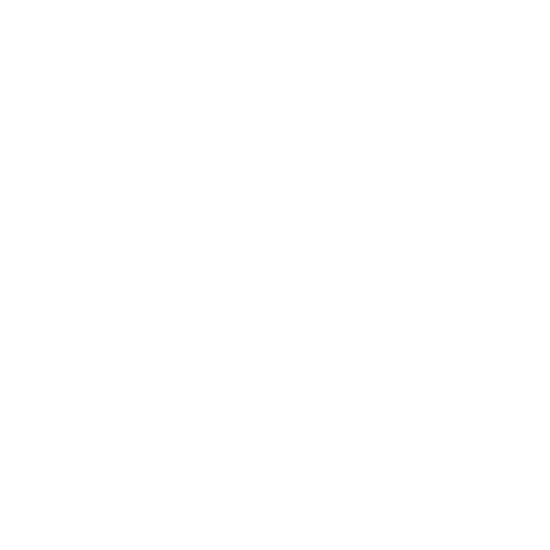 Fighter Roster